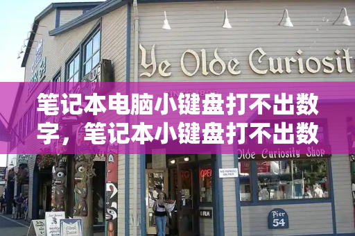 笔记本电脑小键盘打不出数字，笔记本小键盘打不出数字怎么办-第1张图片-星选测评