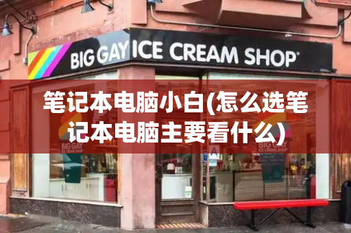笔记本电脑小白(怎么选笔记本电脑主要看什么)