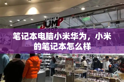 笔记本电脑小米华为，小米的笔记本怎么样-第1张图片-星选测评