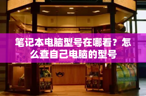 笔记本电脑型号在哪看？怎么查自己电脑的型号-第1张图片-星选测评