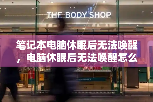 笔记本电脑休眠后无法唤醒，电脑休眠后无法唤醒怎么办-第1张图片-星选测评