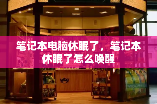 笔记本电脑休眠了，笔记本休眠了怎么唤醒-第1张图片-星选测评