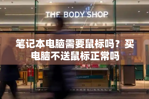 笔记本电脑需要鼠标吗？买电脑不送鼠标正常吗-第1张图片-星选测评
