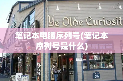 笔记本电脑序列号(笔记本序列号是什么)