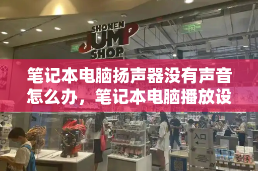 笔记本电脑扬声器没有声音怎么办，笔记本电脑播放设备扬声器没有了