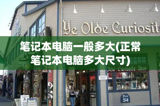 笔记本电脑一般多大(正常笔记本电脑多大尺寸)-第1张图片-星选测评
