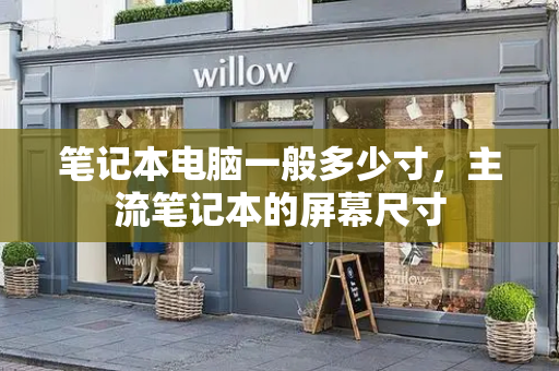 笔记本电脑一般多少寸，主流笔记本的屏幕尺寸-第1张图片-星选测评