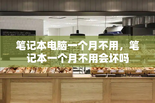 笔记本电脑一个月不用，笔记本一个月不用会坏吗