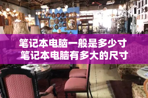 笔记本电脑一般是多少寸 笔记本电脑有多大的尺寸-第1张图片-星选测评