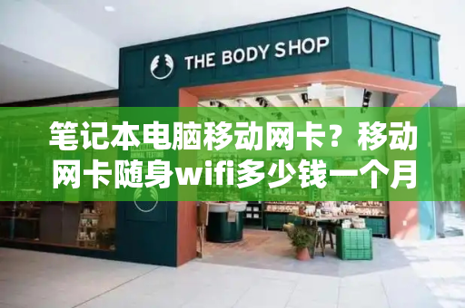 笔记本电脑移动网卡？移动网卡随身wifi多少钱一个月