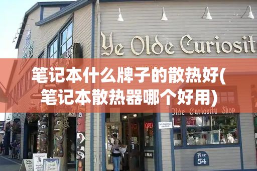 笔记本什么牌子的散热好(笔记本散热器哪个好用)