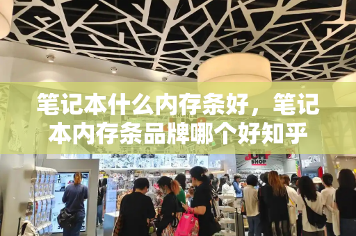 笔记本什么内存条好，笔记本内存条品牌哪个好知乎-第1张图片-星选测评