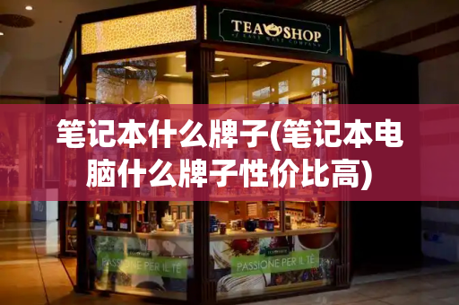 笔记本什么牌子(笔记本电脑什么牌子性价比高)-第1张图片-星选测评