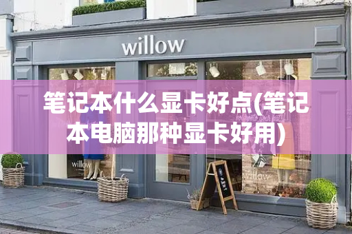 笔记本什么显卡好点(笔记本电脑那种显卡好用)