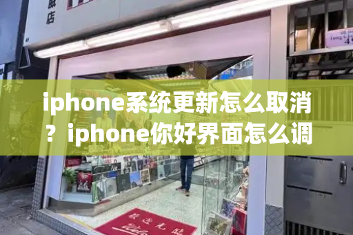 iphone系统更新怎么取消？iphone你好界面怎么调出来-第1张图片-星选测评