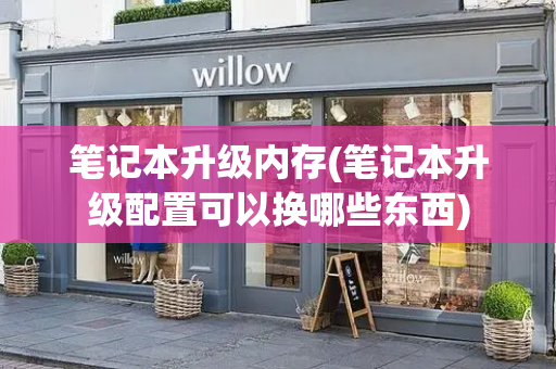 笔记本升级内存(笔记本升级配置可以换哪些东西)-第1张图片-星选测评