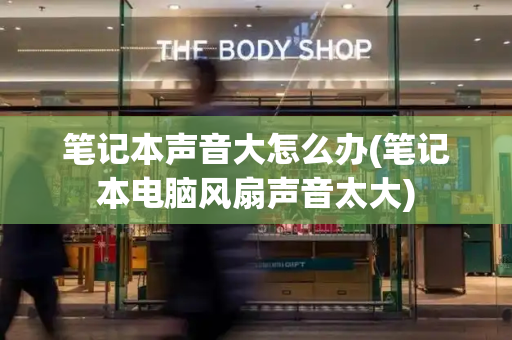笔记本声音大怎么办(笔记本电脑风扇声音太大)