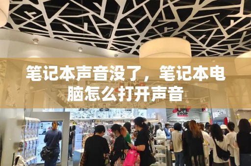 笔记本声音没了，笔记本电脑怎么打开声音-第1张图片-星选测评