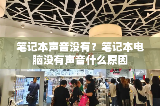 笔记本声音没有？笔记本电脑没有声音什么原因