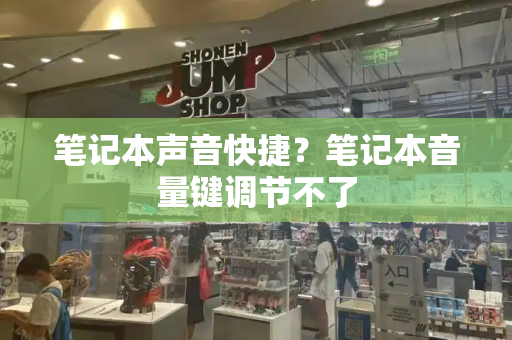 笔记本声音快捷？笔记本音量键调节不了