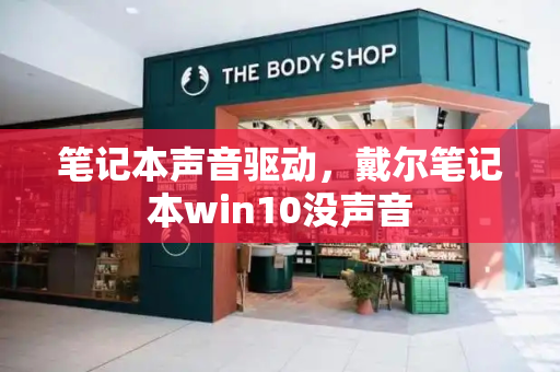 笔记本声音驱动，戴尔笔记本win10没声音