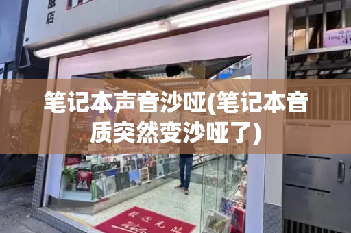 笔记本声音沙哑(笔记本音质突然变沙哑了)-第1张图片-星选测评
