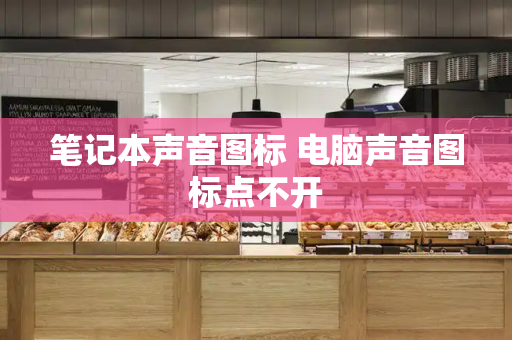 笔记本声音图标 电脑声音图标点不开