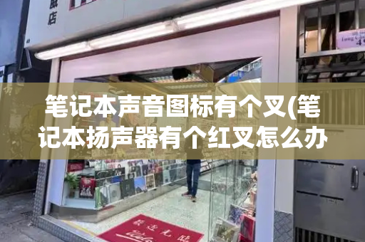 笔记本声音图标有个叉(笔记本扬声器有个红叉怎么办)