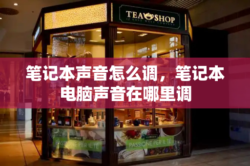 笔记本声音怎么调，笔记本电脑声音在哪里调