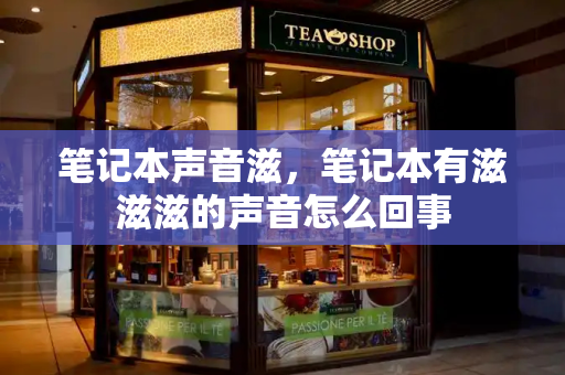笔记本声音滋，笔记本有滋滋滋的声音怎么回事