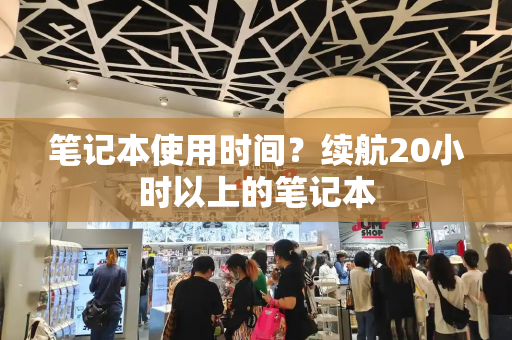 笔记本使用时间？续航20小时以上的笔记本