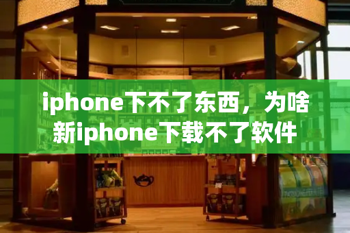 iphone下不了东西，为啥新iphone下载不了软件-第1张图片-星选测评