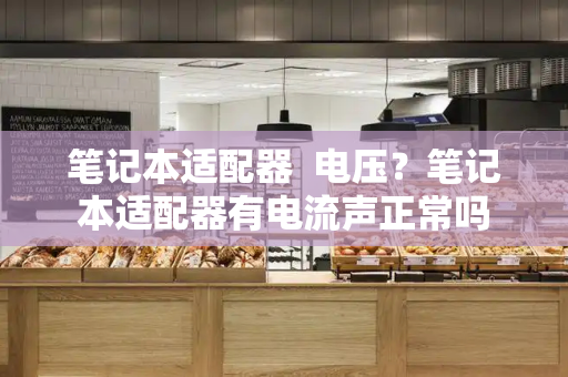笔记本适配器  电压？笔记本适配器有电流声正常吗-第1张图片-星选测评