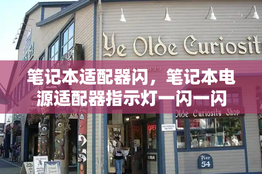 笔记本适配器闪，笔记本电源适配器指示灯一闪一闪-第1张图片-星选测评