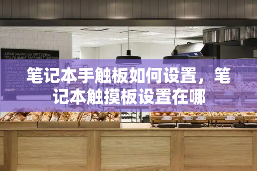 笔记本手触板如何设置，笔记本触摸板设置在哪-第1张图片-星选测评