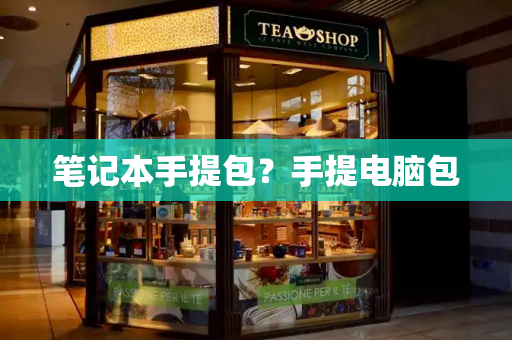 笔记本手提包？手提电脑包