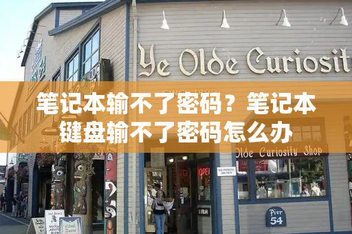 笔记本输不了密码？笔记本键盘输不了密码怎么办-第1张图片-星选测评