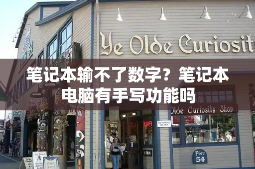笔记本输不了数字？笔记本电脑有手写功能吗-第1张图片-星选测评