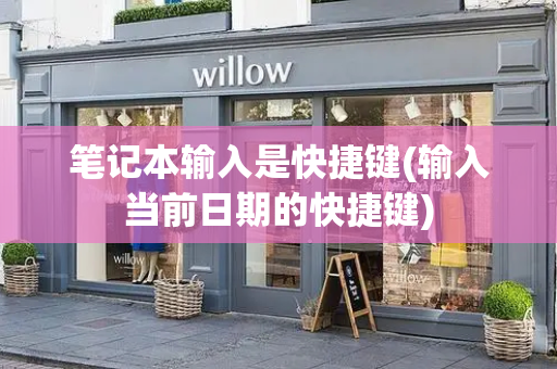 笔记本输入是快捷键(输入当前日期的快捷键)