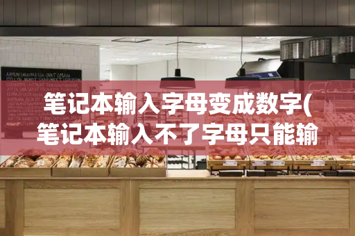 笔记本输入字母变成数字(笔记本输入不了字母只能输入数字)