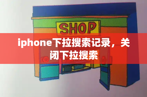 iphone下拉搜索记录，关闭下拉搜索-第1张图片-星选测评