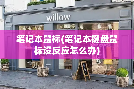笔记本鼠标(笔记本键盘鼠标没反应怎么办)-第1张图片-星选测评
