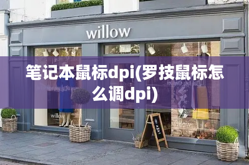 笔记本鼠标dpi(罗技鼠标怎么调dpi)