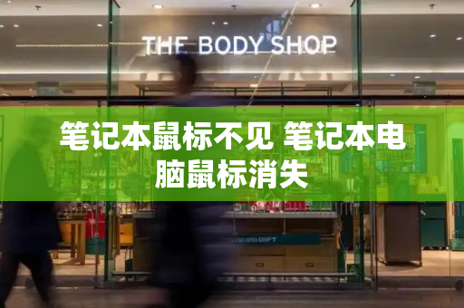 笔记本鼠标不见 笔记本电脑鼠标消失