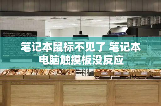 笔记本鼠标不见了 笔记本电脑触摸板没反应