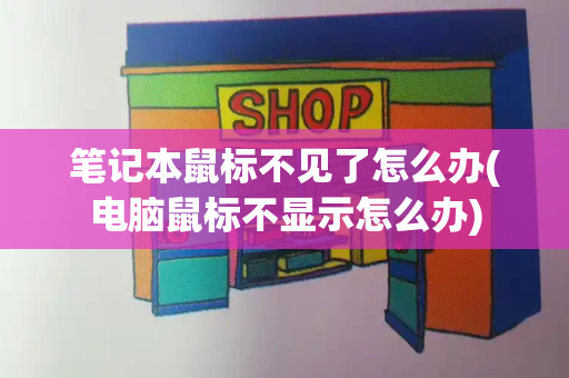 笔记本鼠标不见了怎么办(电脑鼠标不显示怎么办)