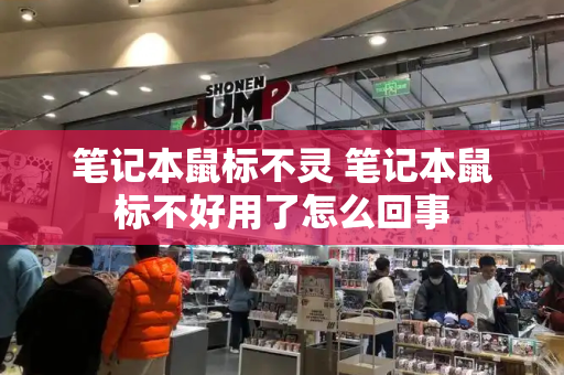 笔记本鼠标不灵 笔记本鼠标不好用了怎么回事