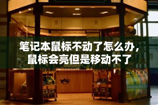 笔记本鼠标不动了怎么办，鼠标会亮但是移动不了