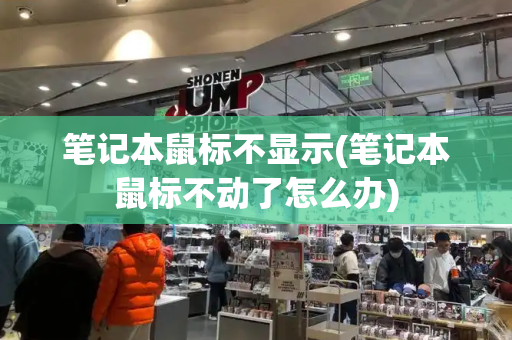 笔记本鼠标不显示(笔记本鼠标不动了怎么办)-第1张图片-星选测评