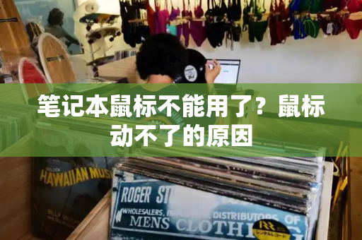 笔记本鼠标不能用了？鼠标动不了的原因